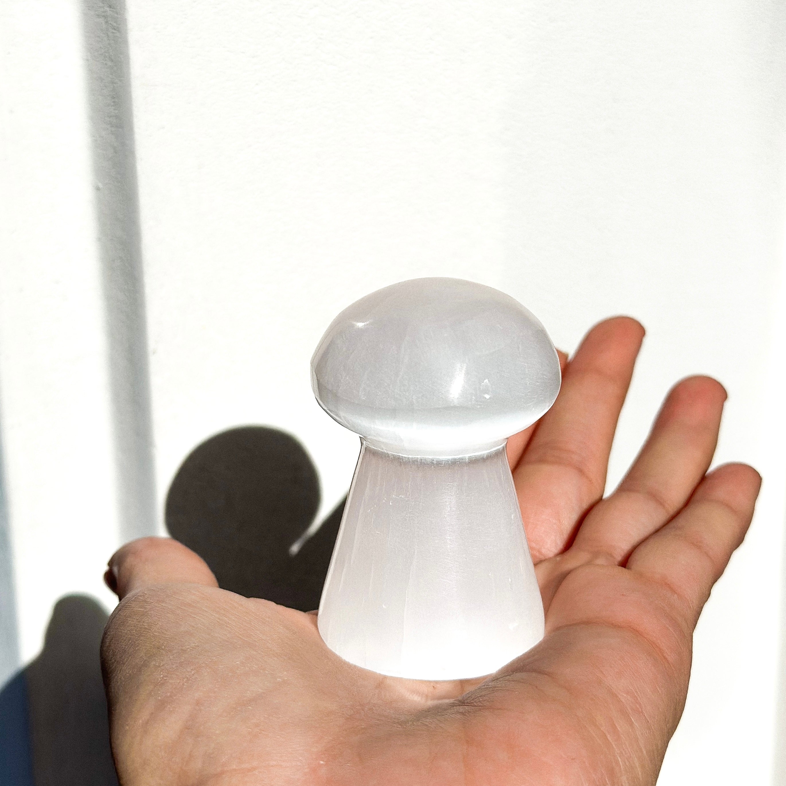 MAGIC MUSHROOM - SELENITE